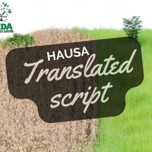 Community Outreach Hausa Translated Script – Bridging Cultures and Connecting Communities